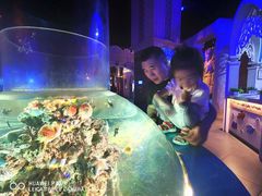 -华夏文旅海洋公园