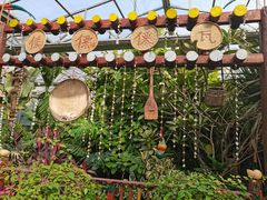 -呀路古热带植物园