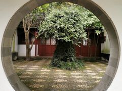-上海醉白池公园