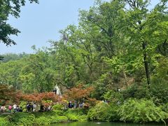 -岳麓山风景名胜区