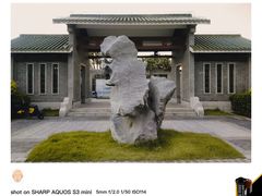 -王借岗森林公园
