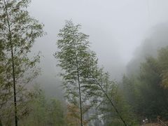 -千泷沟大瀑布旅游区