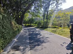 -云溪植物园