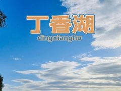 -丁香湖公园