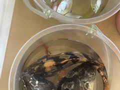 -小猫钓鱼海钓俱乐部(椰梦长廊店)