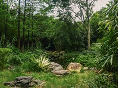 -深圳国际园林花卉博览园