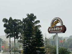 -自贡恐龙博物馆