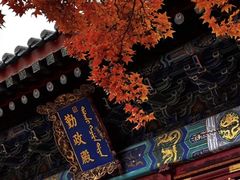 -香山公园