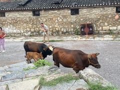-上甘棠村