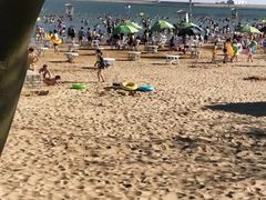-碧海金沙