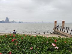 -深圳湾公园(南山区)