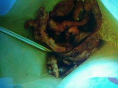 -桥头排骨(文泽园店)