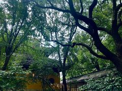 -西园戒幢律寺