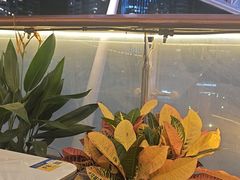 -润园四季椰子鸡火锅(海上世界店)