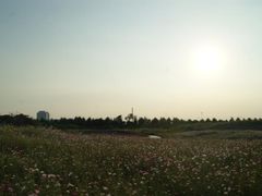 -上海海事大学(临港校区)