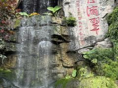 -小天鹅火锅·一线江景洪鼎旗舰店(洪崖洞店)