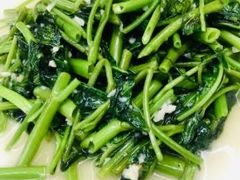 -渡海小渔村.老辈日照菜