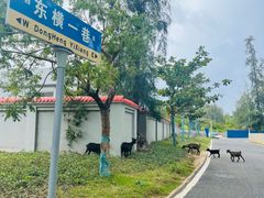-三亚西岛海洋文化旅游区