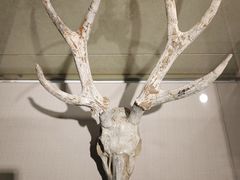 -甘肃地质博物馆