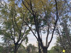 -昆山城市公园