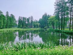 -东湖生态旅游风景区