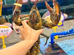 -天鲜阁·海鲜粤菜·33年老字号(石槎白云站店)