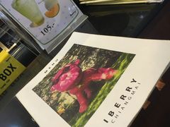 -莓园冰淇淋店