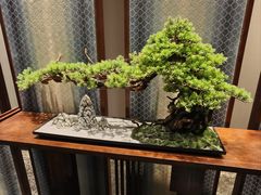 -南宁荔园维景国际大酒店·荔园中餐厅