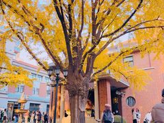 -上海瑞金洲际酒店