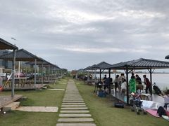 -南汇嘴观海公园