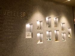 -VELEE·SPA高定疗愈会所