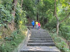 -火炉山森林公园