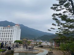 -罗浮山嘉宝田森林温泉度假酒店