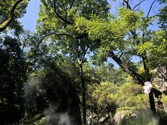 -秦岭终南山世界地质公园翠华山景区