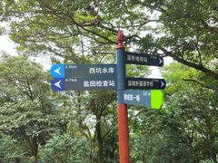 -梧桐山风景名胜区