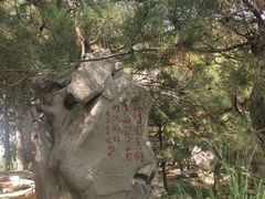 -廊坊市自然公园