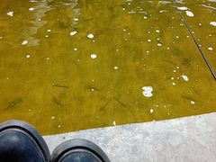 -光头佬钓虾场·烧烤·聚餐·亲子(金沙洲店)