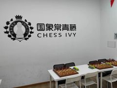 -常青藤国际象棋(新奥店)