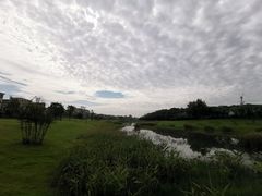 -两河城市森林公园