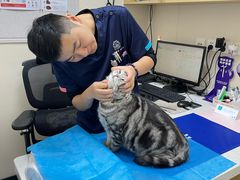 -美联众合爱康动物医院•复杂内科•肿瘤科•牙科•腔镜诊疗中心