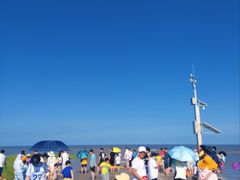 -南汇嘴观海公园