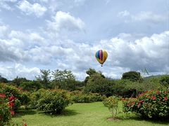 -中国科学院西双版纳热带植物园