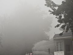 -湖南师范大学-木兰路食堂