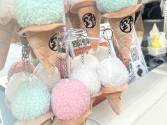 -野人先生现做冰淇淋(北京顺义祥云小镇店)