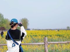 -汉长安城未央宫国家考古遗址公园