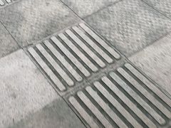 -喵园·猫主题咖啡厅·撸猫·猫咖(国贸店)