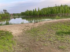 -白鹭湾湿地公园