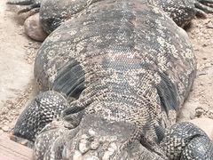 -东部华侨城