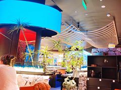 -芸山季·云南山珍菌火锅(人民广场来福士店)