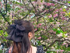 -西安青龙寺遗址景区